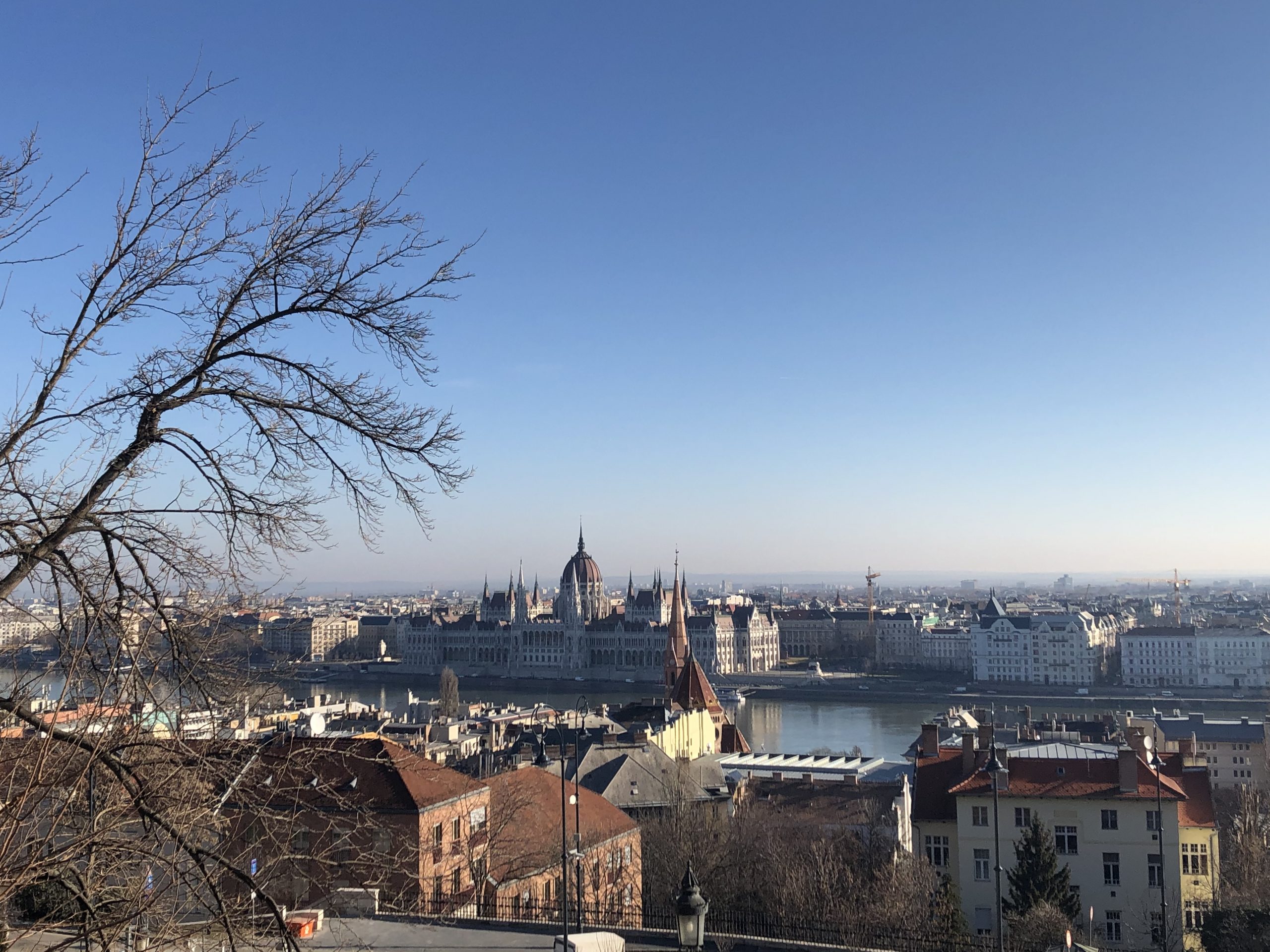 City Roofs