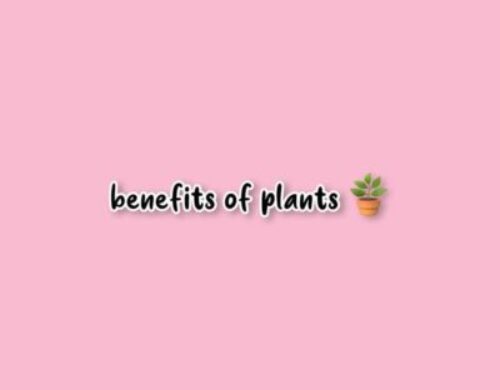 benefits of plants