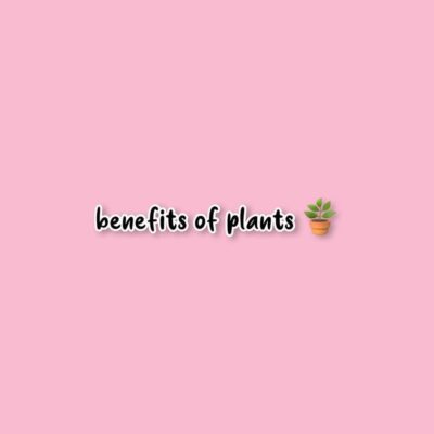 benefits of plants