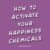 happiness chemicals